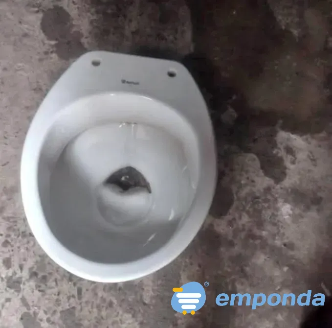 Hinodoro Rosario - imagen 1