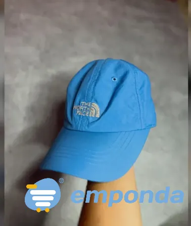 Vicera celesta Rosario - imagen 1