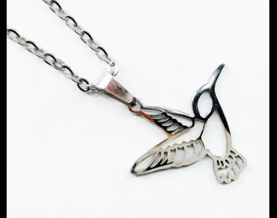 Collar colibri de acero quirúrgico La Matanza