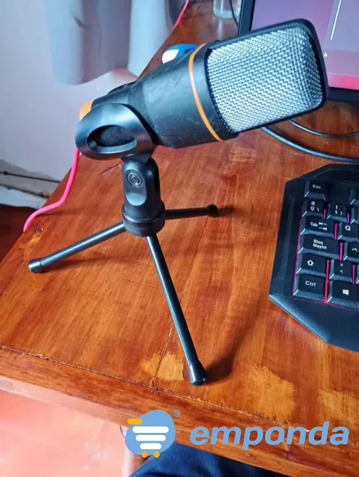 Microfono con tripode Santa Fe ciudad - imagen 1