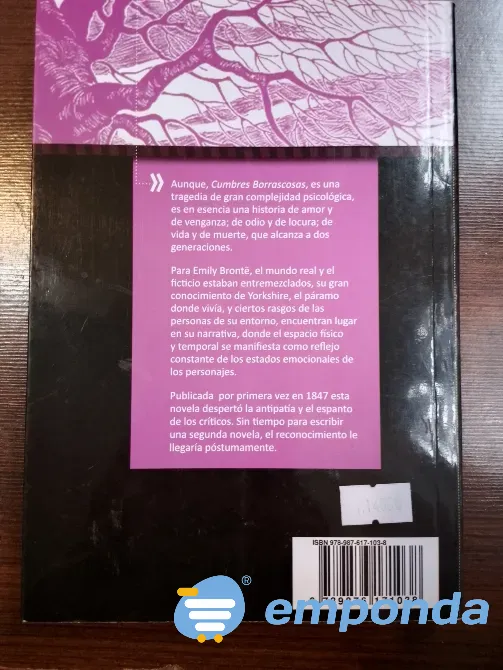 Cumbres borrascosas Lomas de Zamora - imagen 2