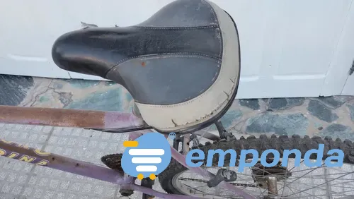 Bicicleta Córdoba - imagen 2