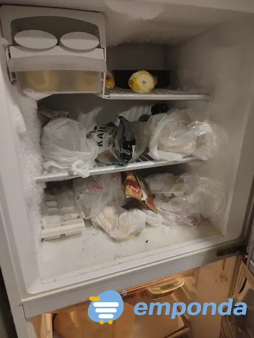 Heladera Gafa La Plata - imagen 2