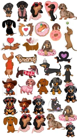 Kits emprendedor diseños personalizados San Pedro de Jujuy