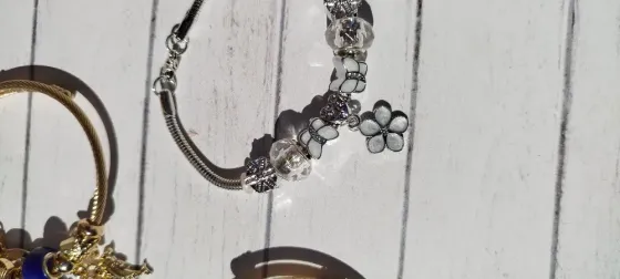 Pulsera símil Pandora San Miguel de Tucumán