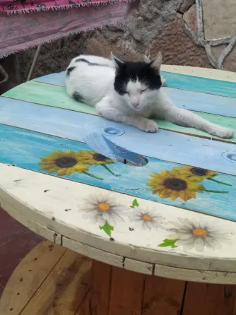 Pintura decorativa La Rioja