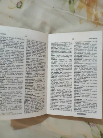 Diccionario marca OCEANO POCKET Formosa ciudad