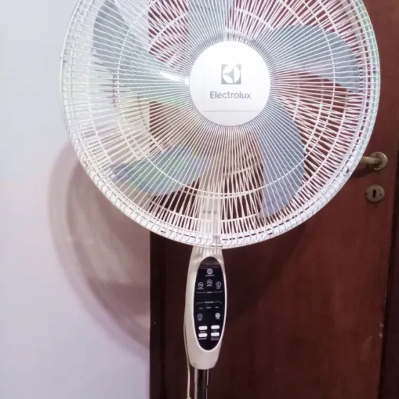 Ventilador de Pie 20" Electrolux Digital Lanús