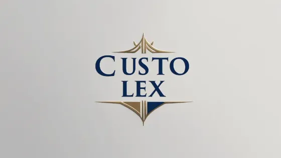 Derecho penal Puerto Madero