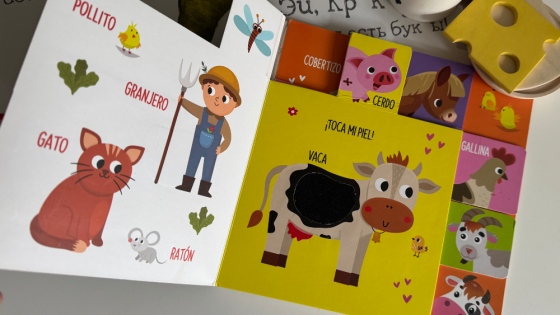 Libro “Domesticos” Caballito