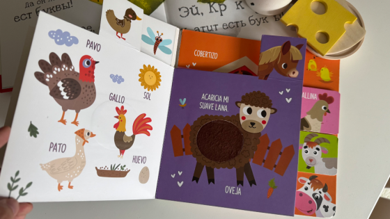 Libro “Domesticos” Caballito