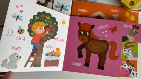 Libro “Domesticos” Caballito