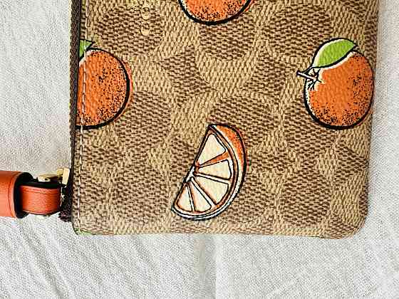 Monedero Coach Moreno