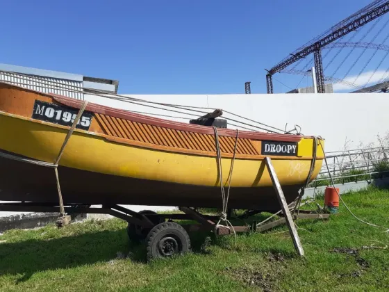 Casco Matrícula M Mar del Plata