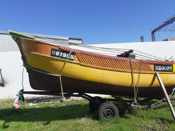 Casco Matrícula M Mar del Plata