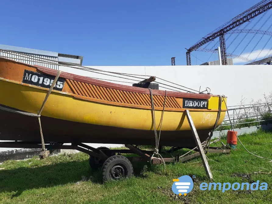 Casco Matrícula M Mar del Plata - imagen 1