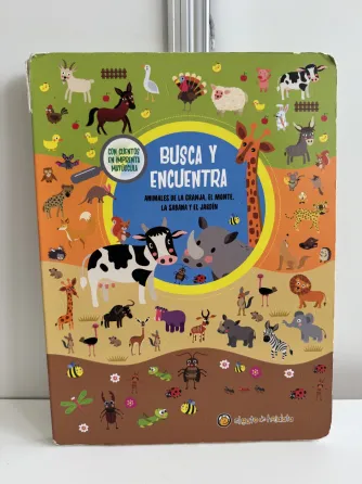 Libro Busca y encuentra Rosario