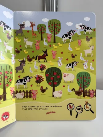 Libro Busca y encuentra Rosario