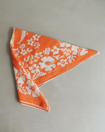 Pañuelo John L Cook Boedo