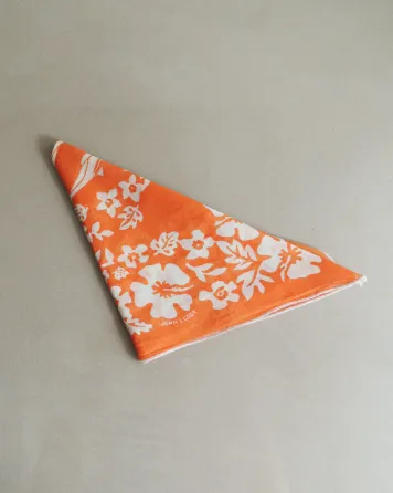 Pañuelo John L Cook Boedo