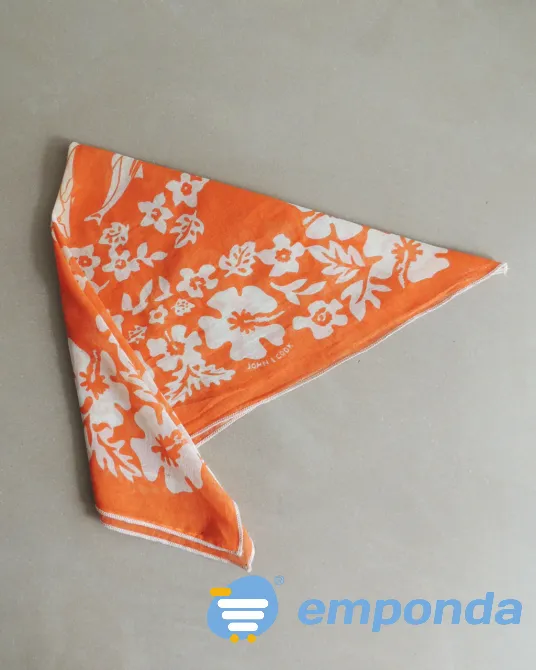 Pañuelo John L Cook Boedo - imagen 2