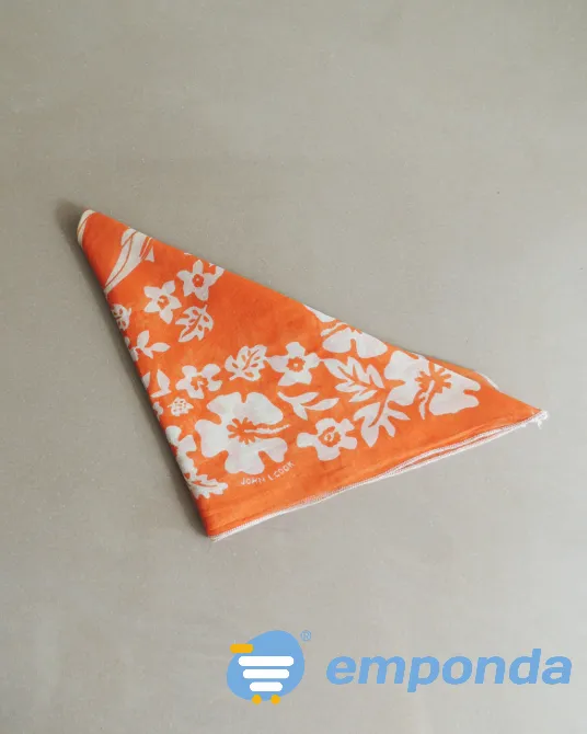 Pañuelo John L Cook Boedo - imagen 1