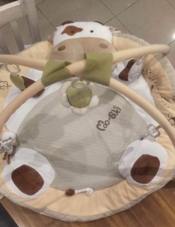 Gimnasio para bebés San Isidro