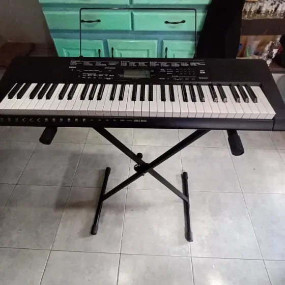 Órgano Casio ctk- 3500 Tigre