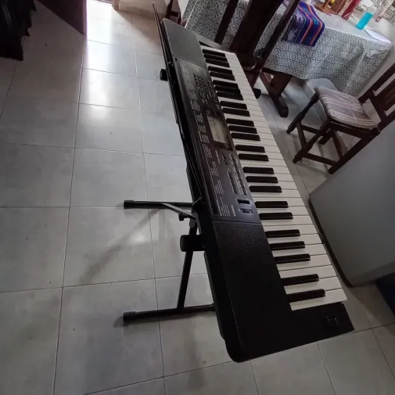 Órgano Casio ctk- 3500 Tigre