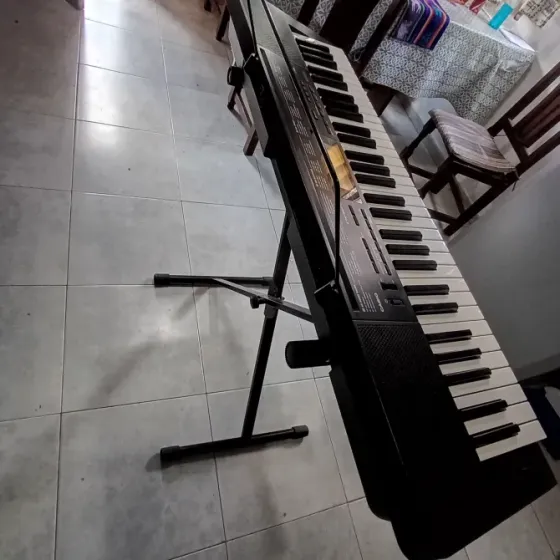 Órgano Casio ctk- 3500 Tigre