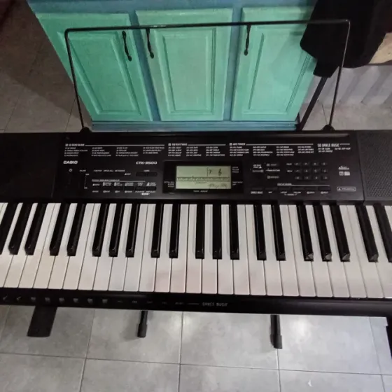 Órgano Casio ctk- 3500 Tigre
