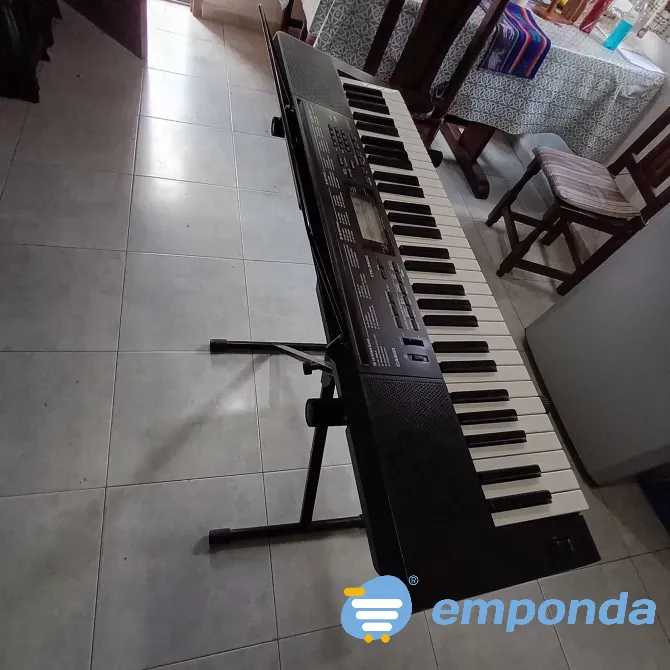 Órgano Casio ctk- 3500 Tigre - imagen 4