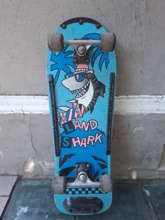 Patineta skate vintage Colegiales