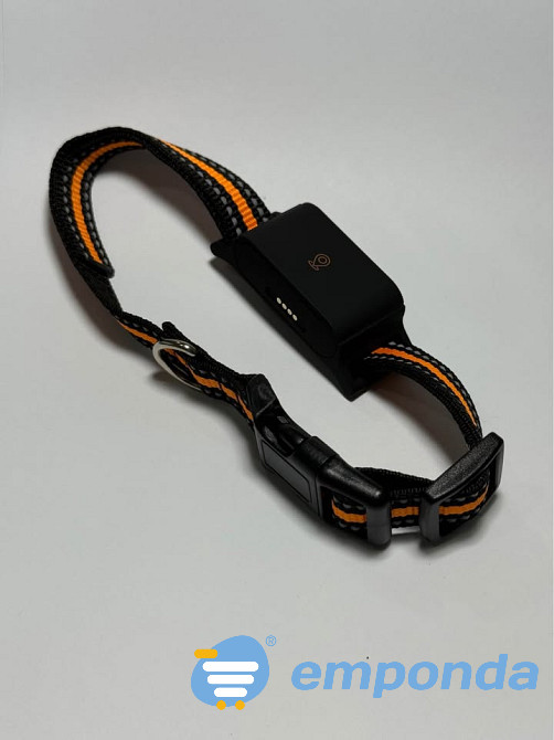 Collar GPS para tu mascota Monserrat - imagen 2