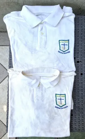 Remera Escolar XL Uniforme Colegio San Lucas Colegiales