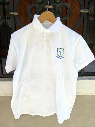 Remera Escolar XL Uniforme Colegio San Lucas Colegiales