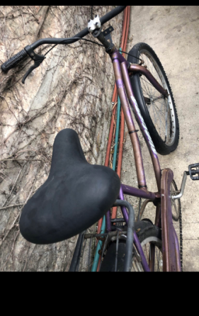 Bicicleta Plateya de mujer General San Martín