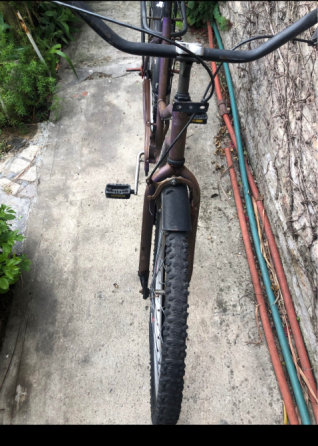 Bicicleta Plateya de mujer General San Martín