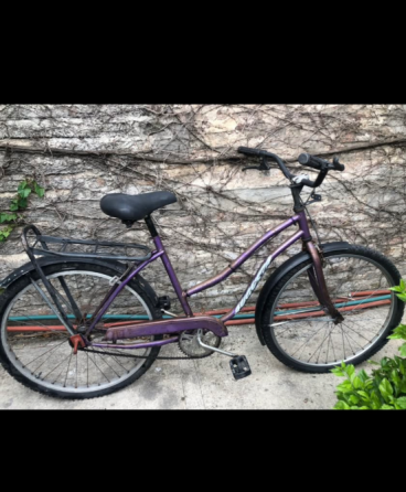 Bicicleta Plateya de mujer General San Martín