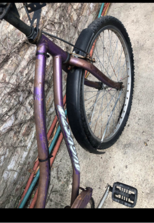 Bicicleta Plateya de mujer General San Martín