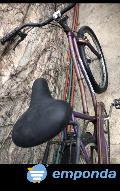 Bicicleta Plateya de mujer General San Martín - imagen 3