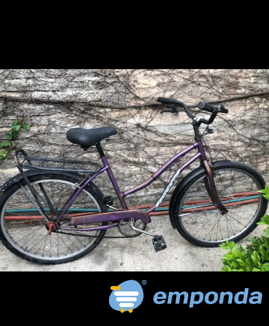 Bicicleta Plateya de mujer General San Martín - imagen 1