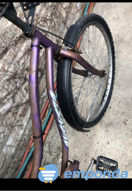 Bicicleta Plateya de mujer General San Martín - imagen 5