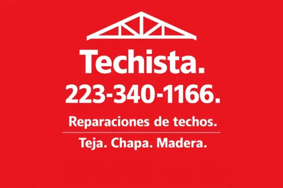Techista profesional. Armado y reparaciones de techos. Mar del Plata