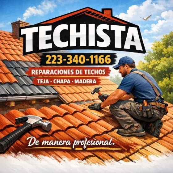 Techista profesional. Armado y reparaciones de techos. Mar del Plata