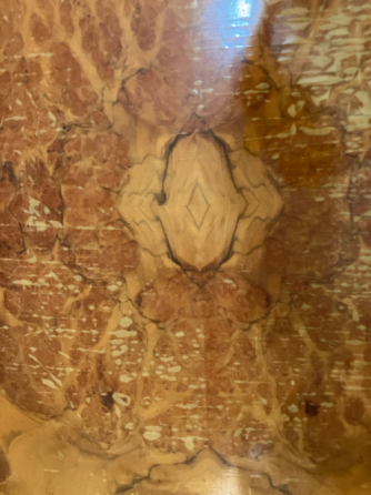 Mesas para restaurar raíz de nogal Recoleta