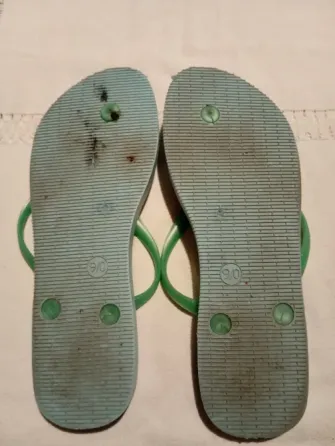 Ojotas verde claro Floresta