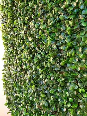 Jardín vertical panel artificial 60x40 Villa del Parque