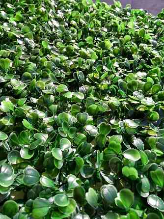 Jardín vertical panel artificial 60x40 Villa del Parque