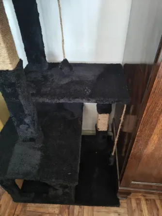 Rascador árbol gato Floresta